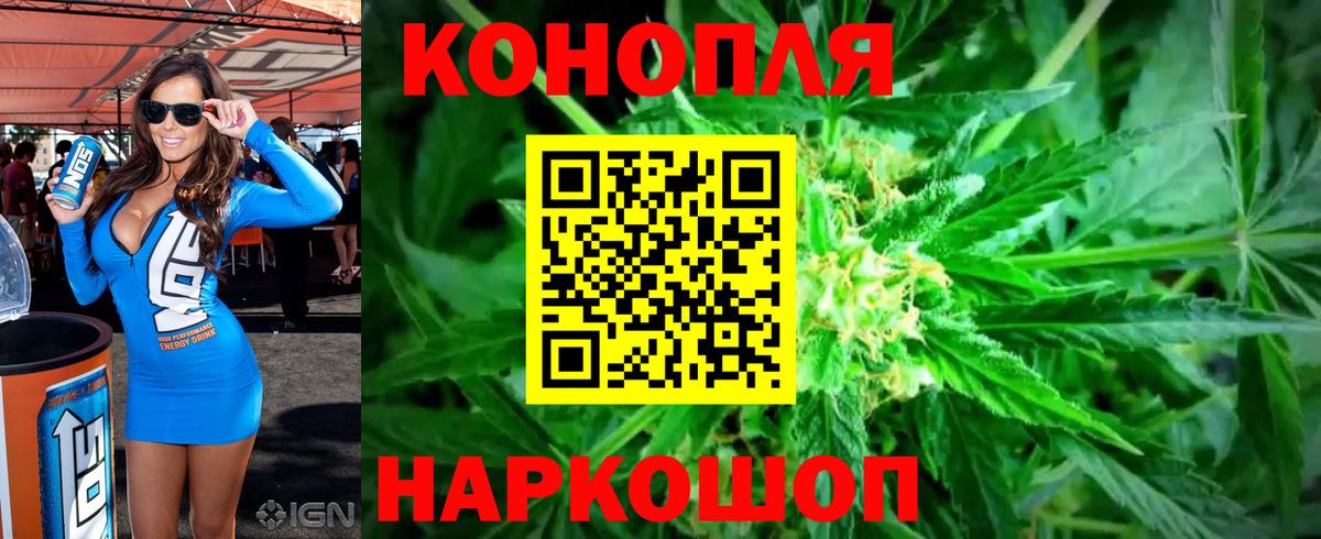 Шишки марихуана Amnesia Можга